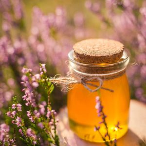 Pack Cata: Sabores de Salamanca (3x250g)